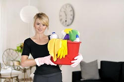 Professional Domestic Cleaners in SW20