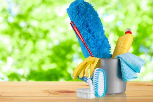 Living room sofa cleaning with professional upholstery care