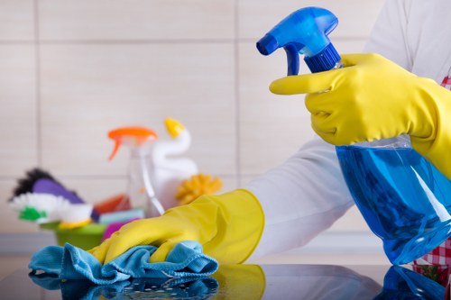Domestic cleaning essentials for a tidy home