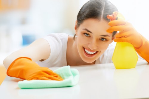 Professional mattress cleaning tools and upholstery care supplies