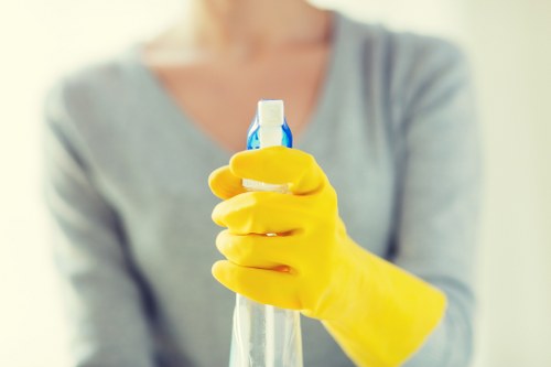Regular cleaning of a bright home interior