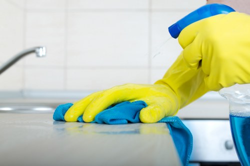 Efficient domestic cleaning routine with tools