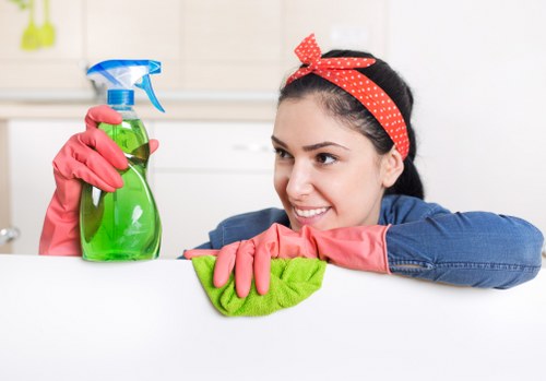 Household cleaning products and tools for a detailed kitchen clean