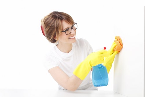 Household tap water with concern for taste and clarity